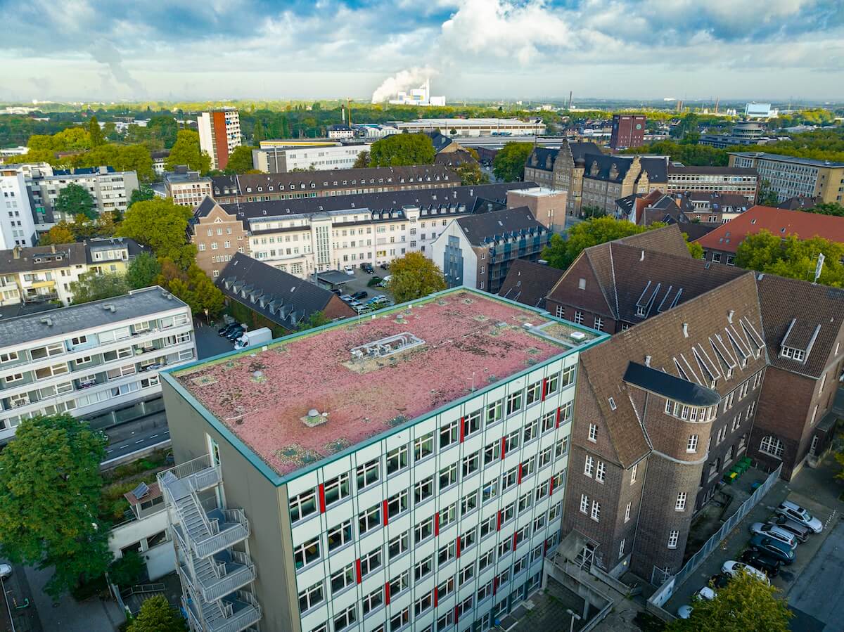 Luftaufnahme eines hohen Gebäudes, des Elsa-Branström-Gymnasiums, dessen Flachdach begrünt ist.