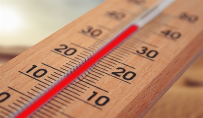Immer häufiger kommt es vor, dass das Thermometer gerade in dicht bebauten Städten im Sommer die 40-Grad-Marke knackt. 