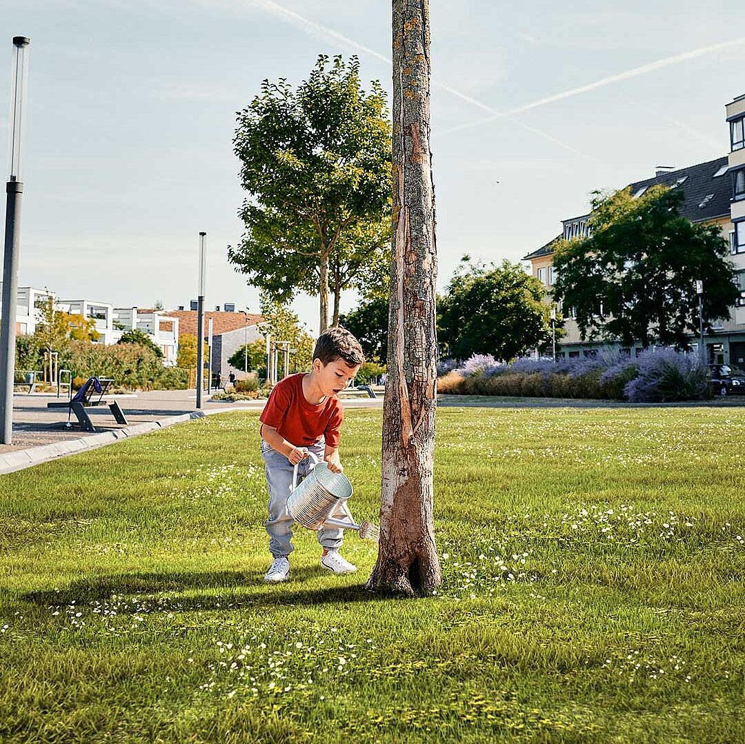 Kleiner Junge gießt Baum in der Nachbarschaft.