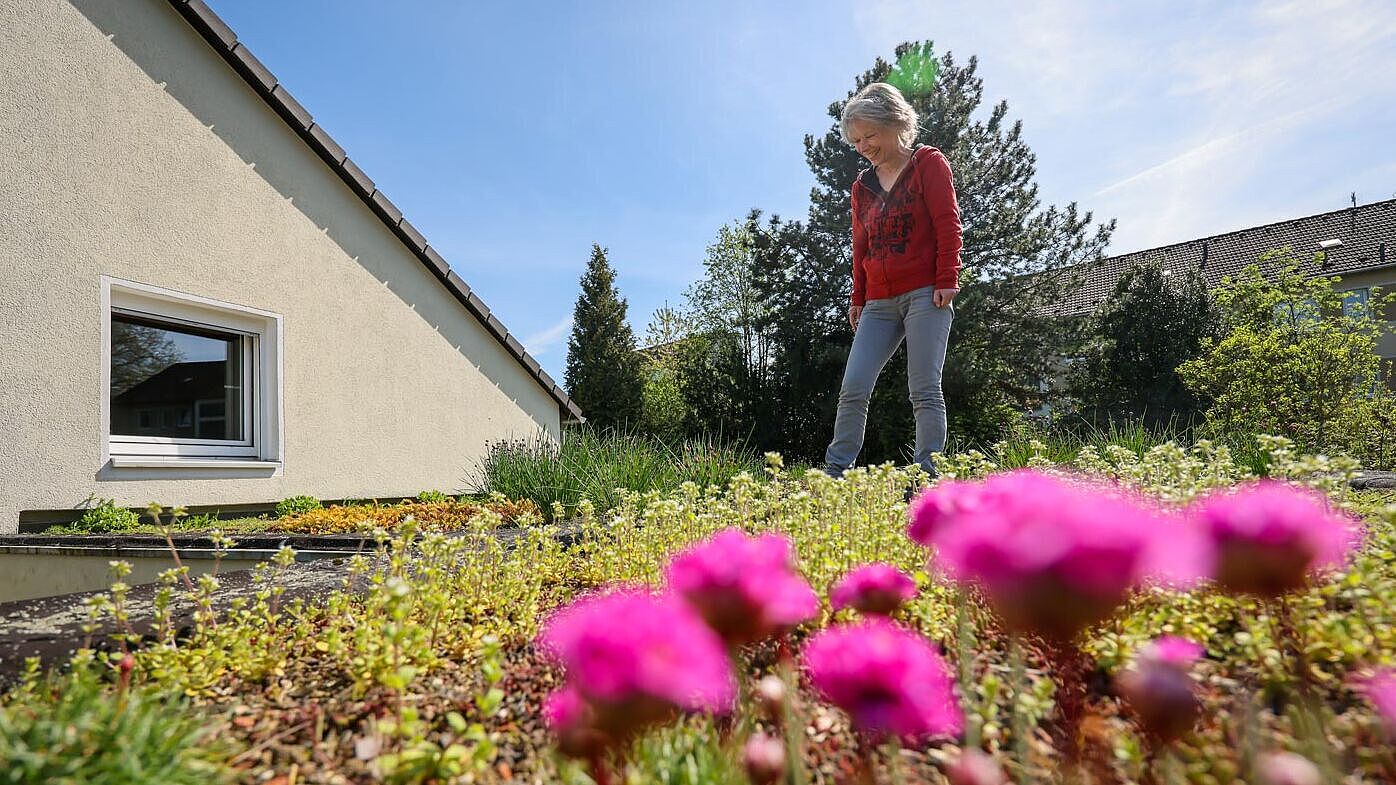 Ein Gründach mit pinken Blumen im Vordergrund. Eine Frau läuft über das Dach.